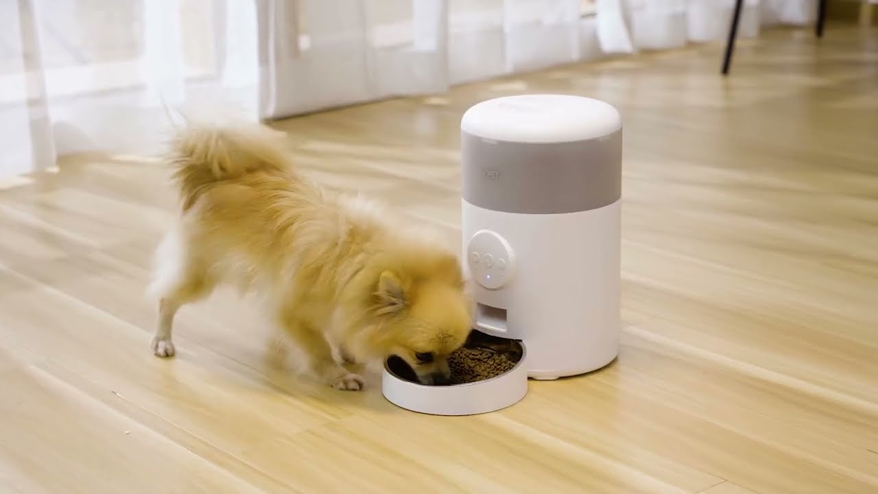 WOpet Milo 2 Automatic Pet Feeder FW09  Set-up Tutorial