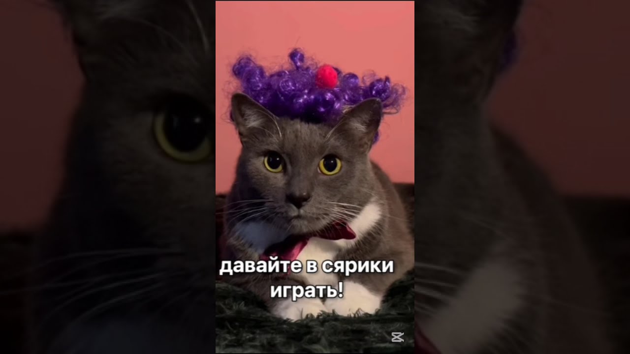 kotynet RITP