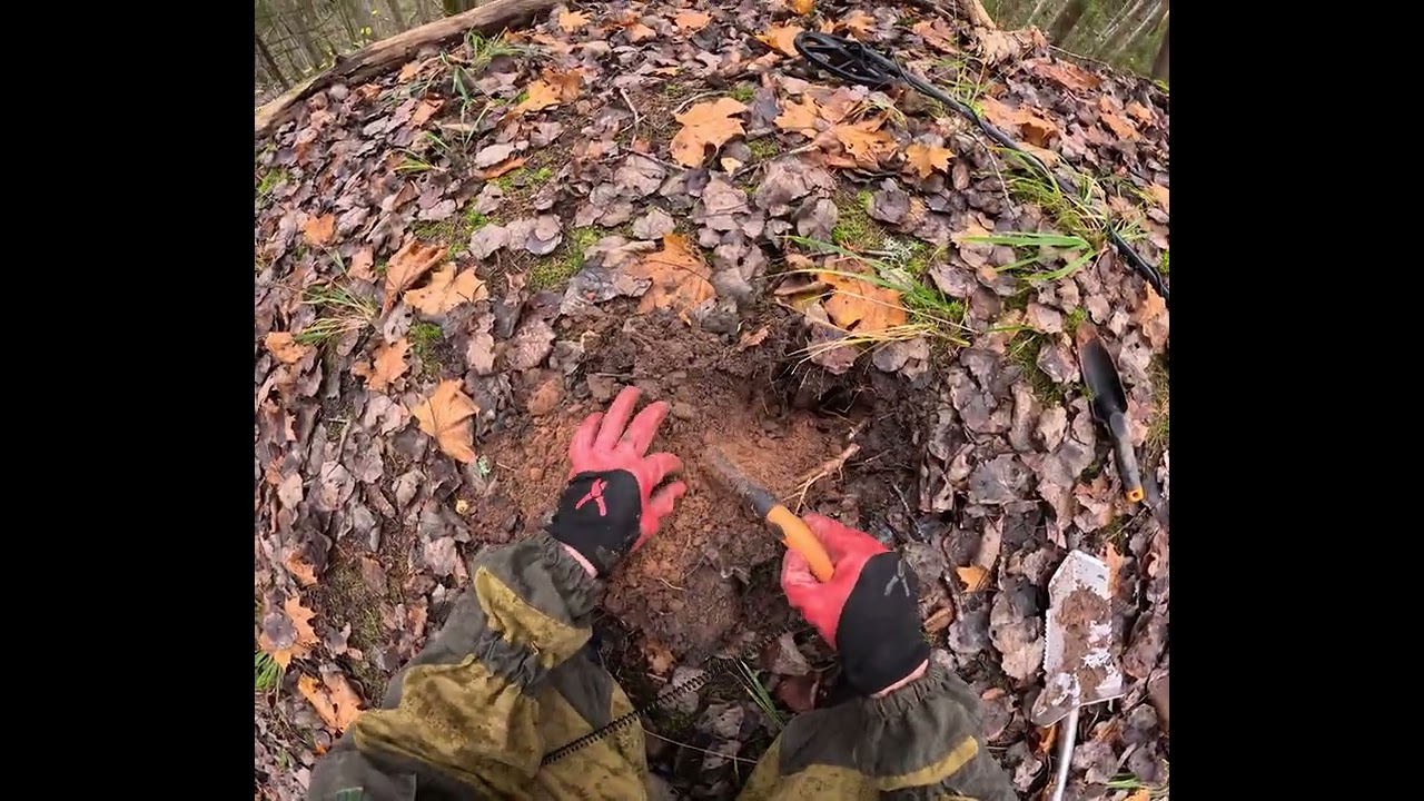 Real Live Treasure Hunting in the in the Forest