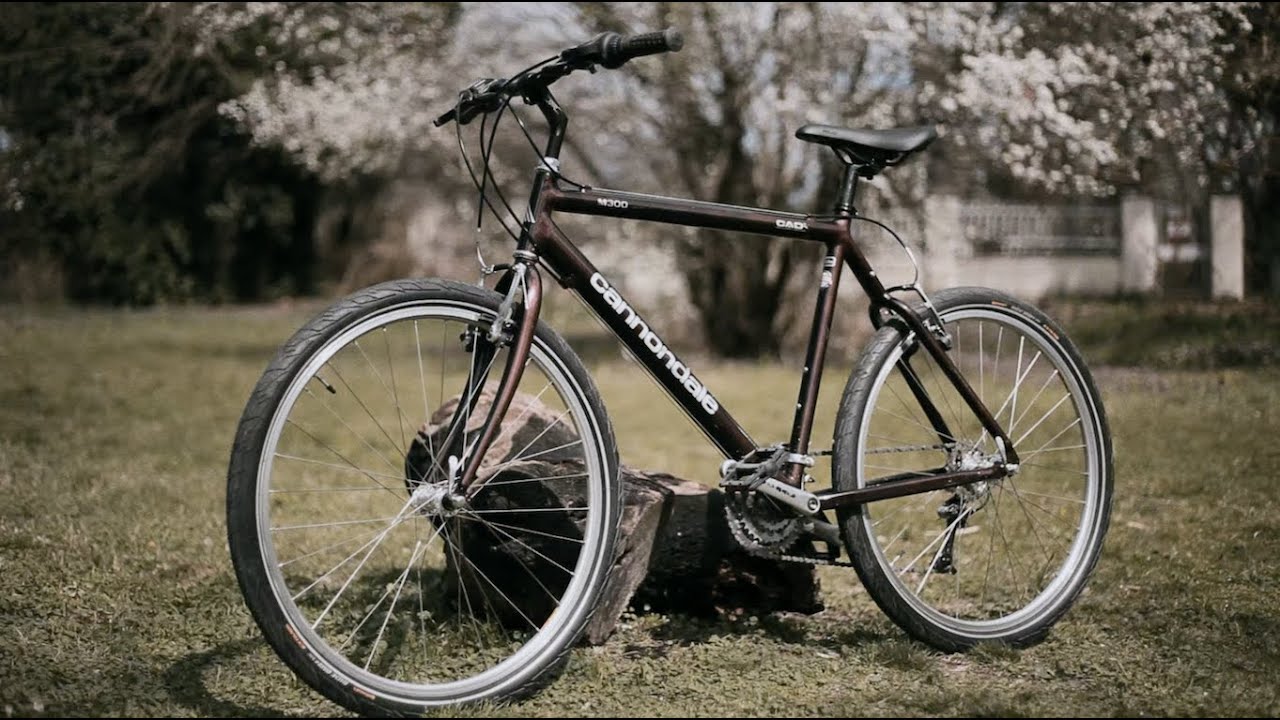 The cannondale day