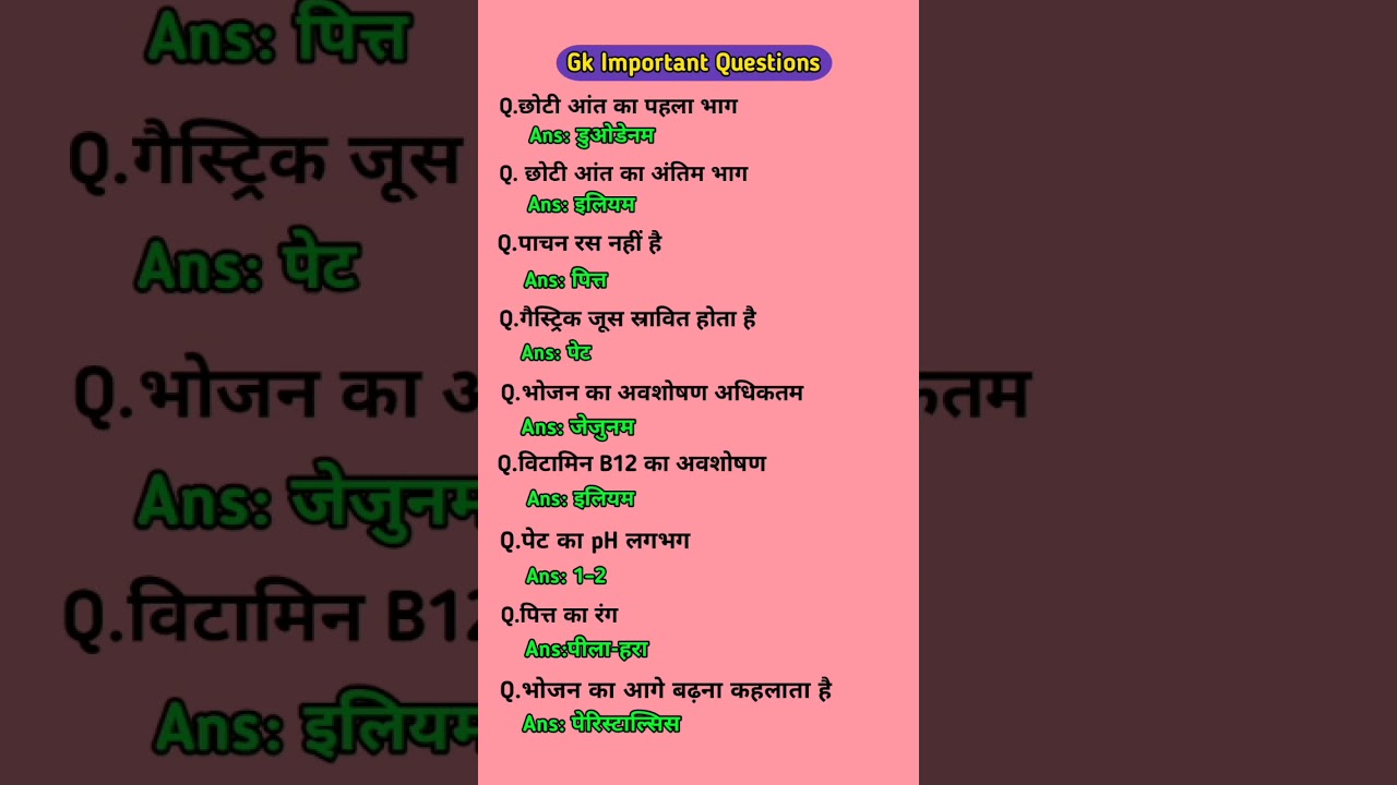 Gk Questions | Gk Important Question | 