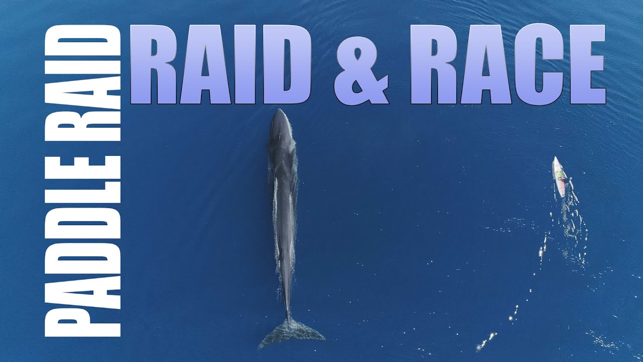 Paddle Raid  - Ultra paddle Raid 2022