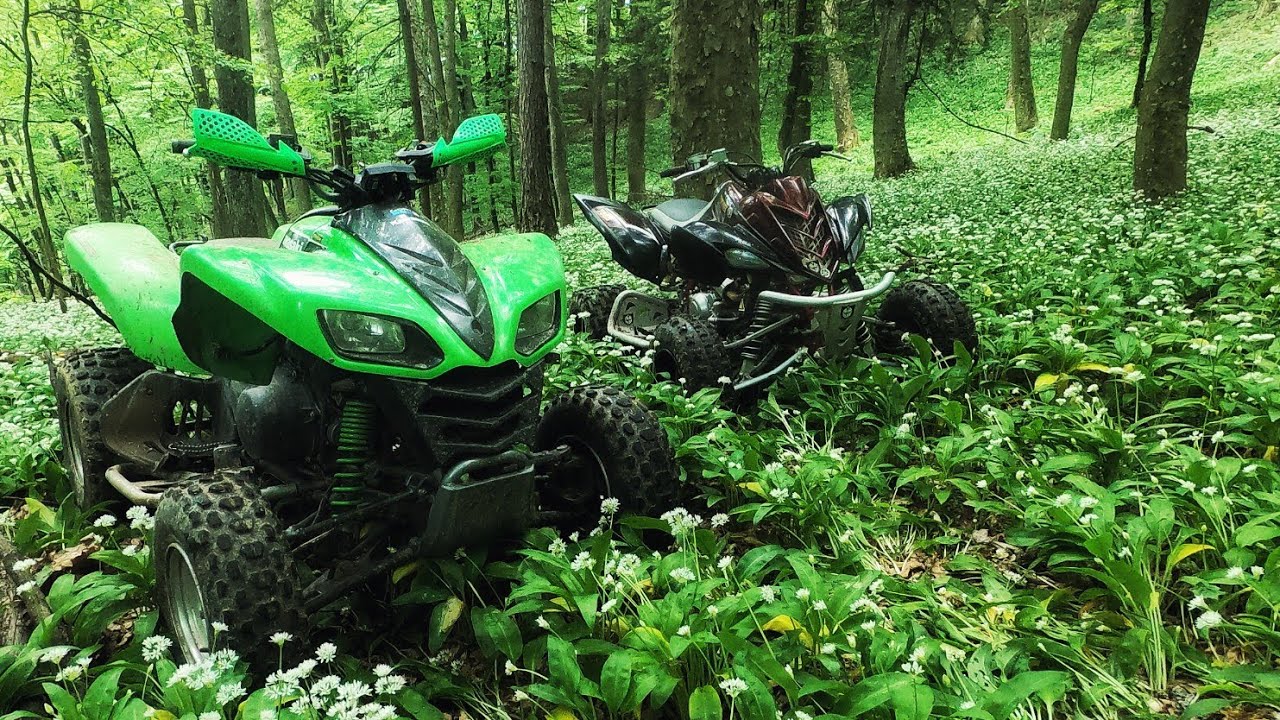 All Day Quad Adventure