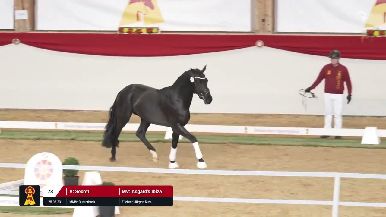 Lot 73 v. Secret / Asgard's Ibiza