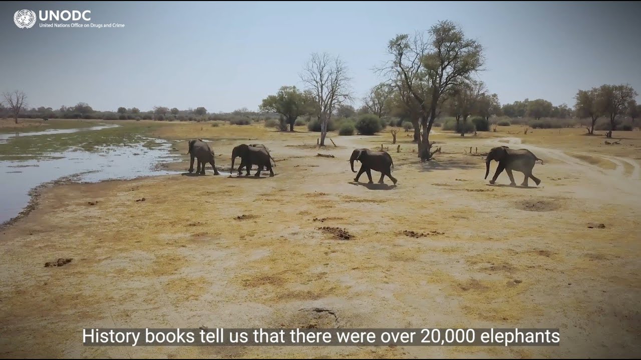 Corruption Risk Assessment at Garamba National Park