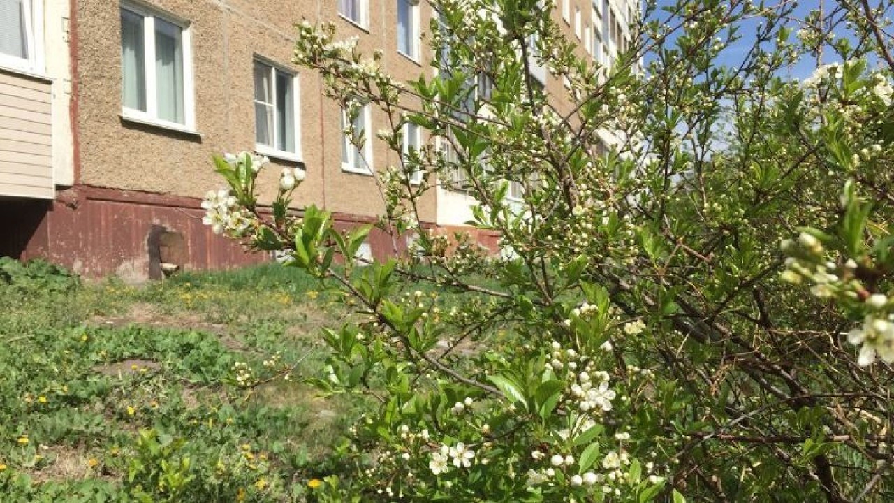 весенний мартовский стрим