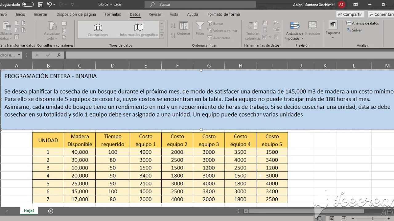 Programación Entera o Binaria - Resolución de un ejemplo en Solver - Asignación con solver parte 1