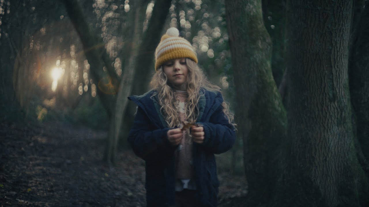 Luke James Williams - Hollows and Branches (Official Video)