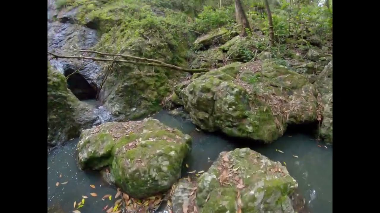 Biriwal Bulga National Park GoPro