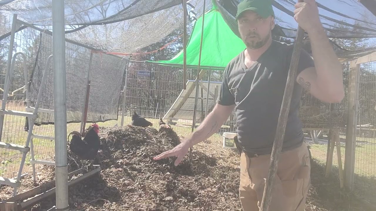 Deep Bedding / Deep Litter Chicken System 