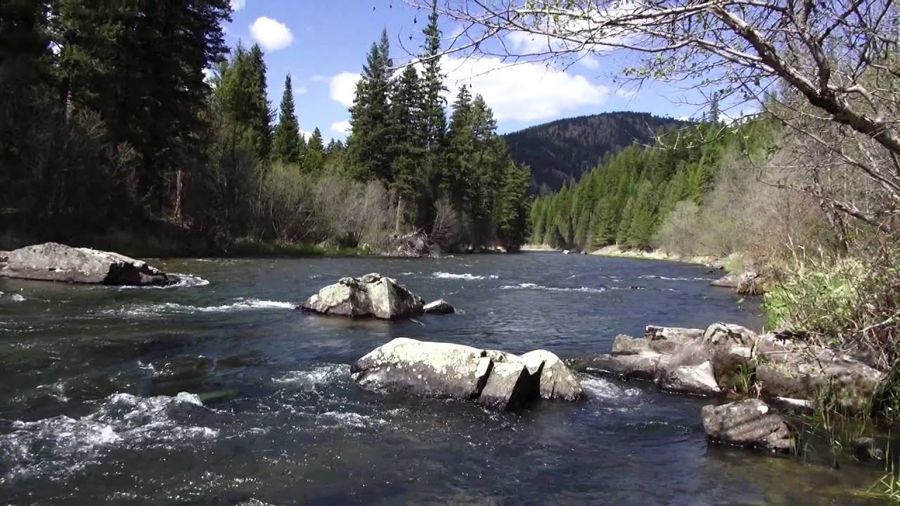 Big Sky Outdoors- Fishing the Salmon fly hatch