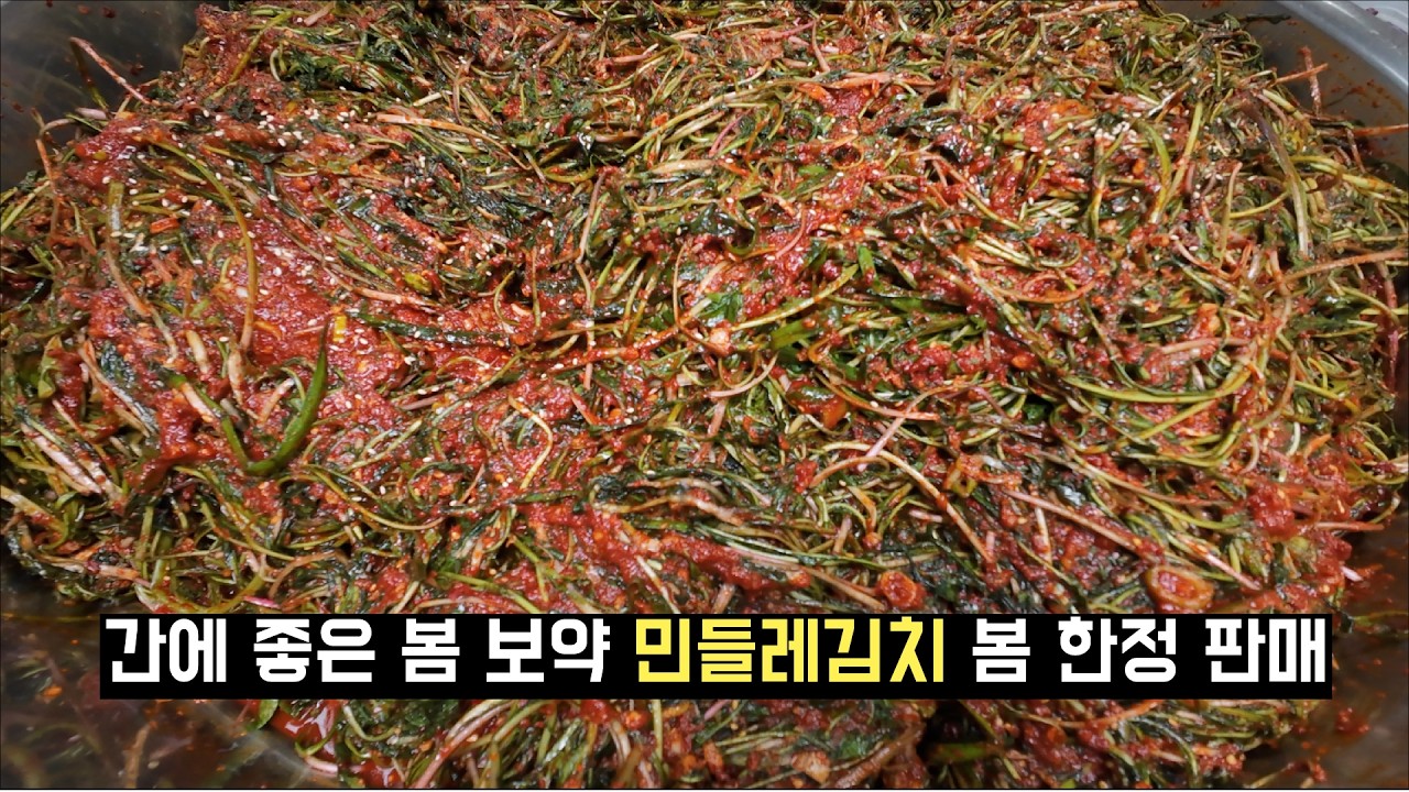[한정판매] 민들레김치 드디어 나왔습니다