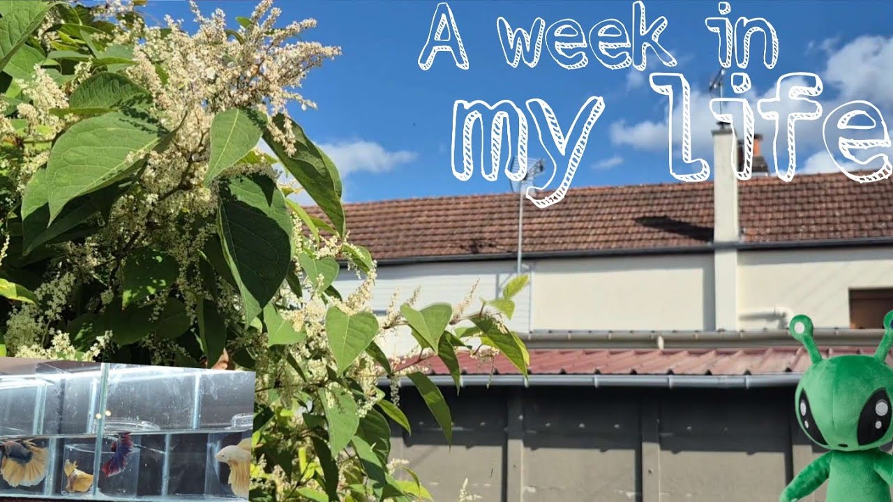  ♡ A week in my life ♡