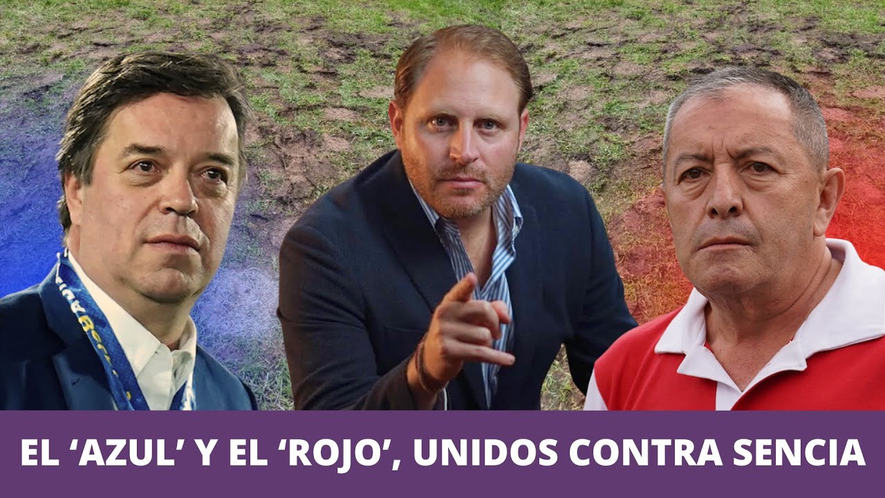 Millonarios y Santa Fe, unidos contra Sencia y perjudicados por la grama