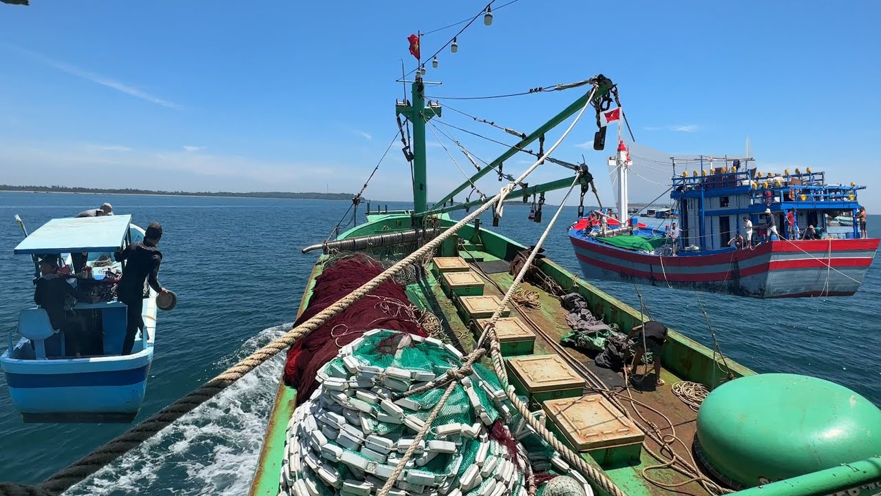 Nghề Lưới Rút Đêm Trung Sa Xuất Bến Chạy 3 Ngày 3 Đêm Ra Đến Điểm Gặp Gió Anh Em Câu Mực - Dân Biển