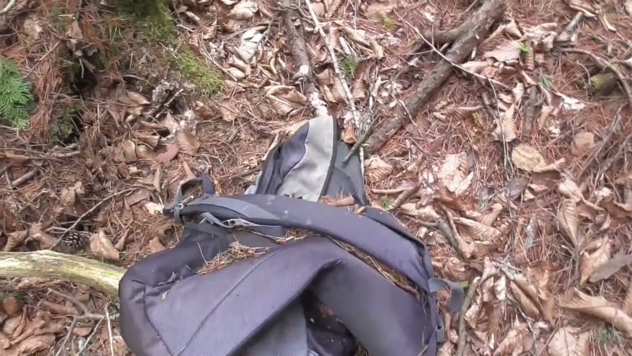 心霊journey　樹海　遺体と遭遇