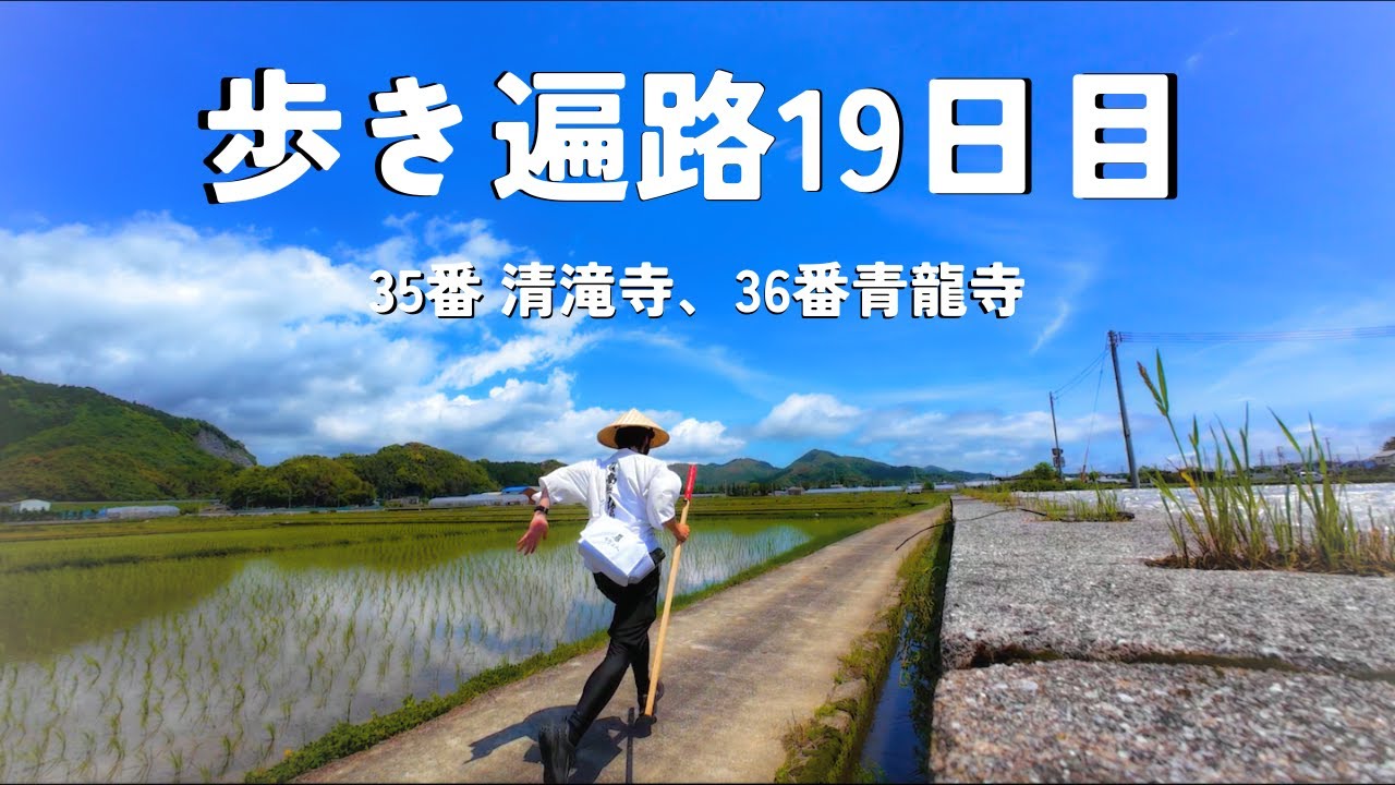 【四国歩き遍路通し打ち19日目】山門から本堂まで、急な階段を登るお寺ばかりです
