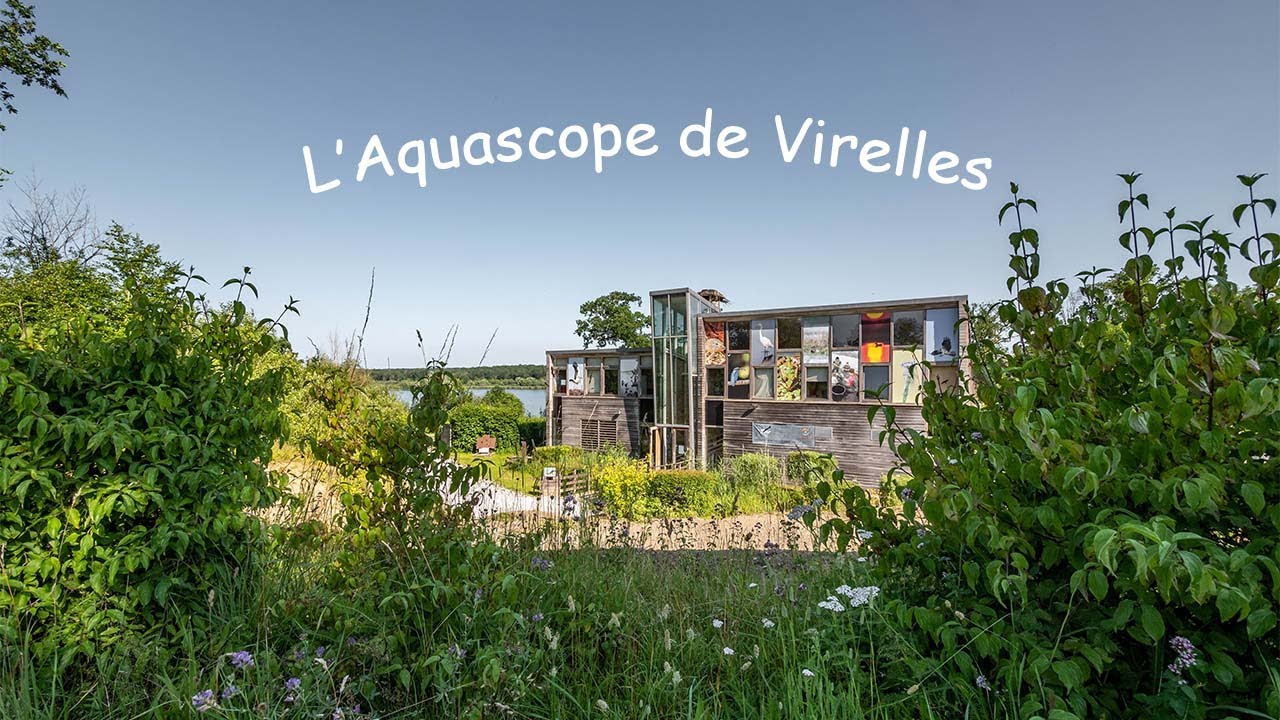 L'Aquascope de Virelles  #travellersfrombelgium