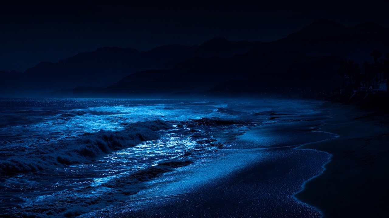 Your Mind Won’t Stop? 🌙 Night Ocean Waves to Calm You Down (LIVE)