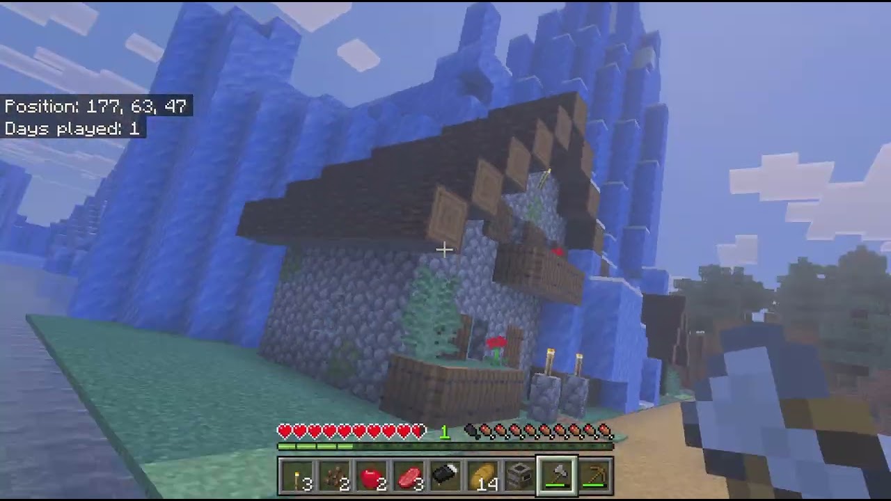 Minecraft!!