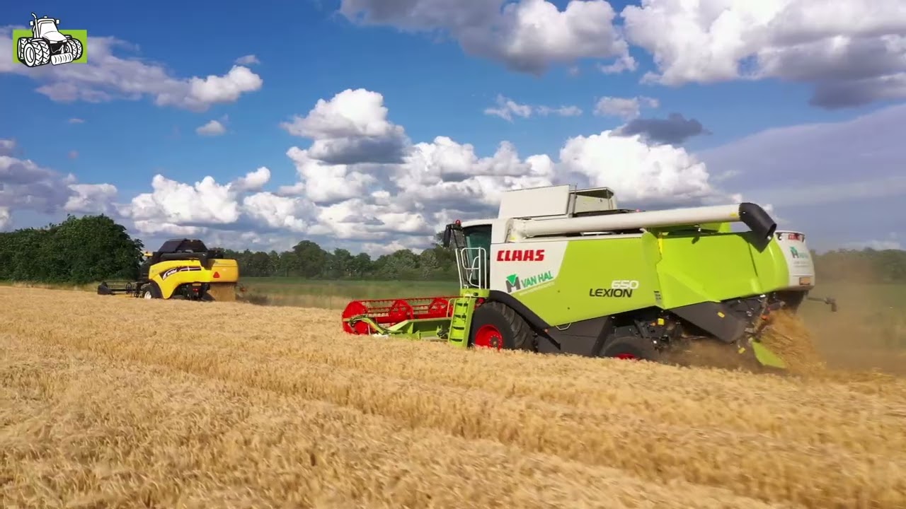 New Holland CX 820 en een Claas Lexion 650 in de wintergerst