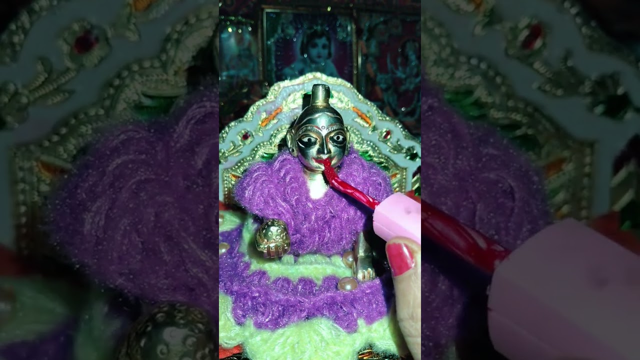 लड्डू गोपाल जी का मकरसंक्रांति श्रृंगार  special Seva