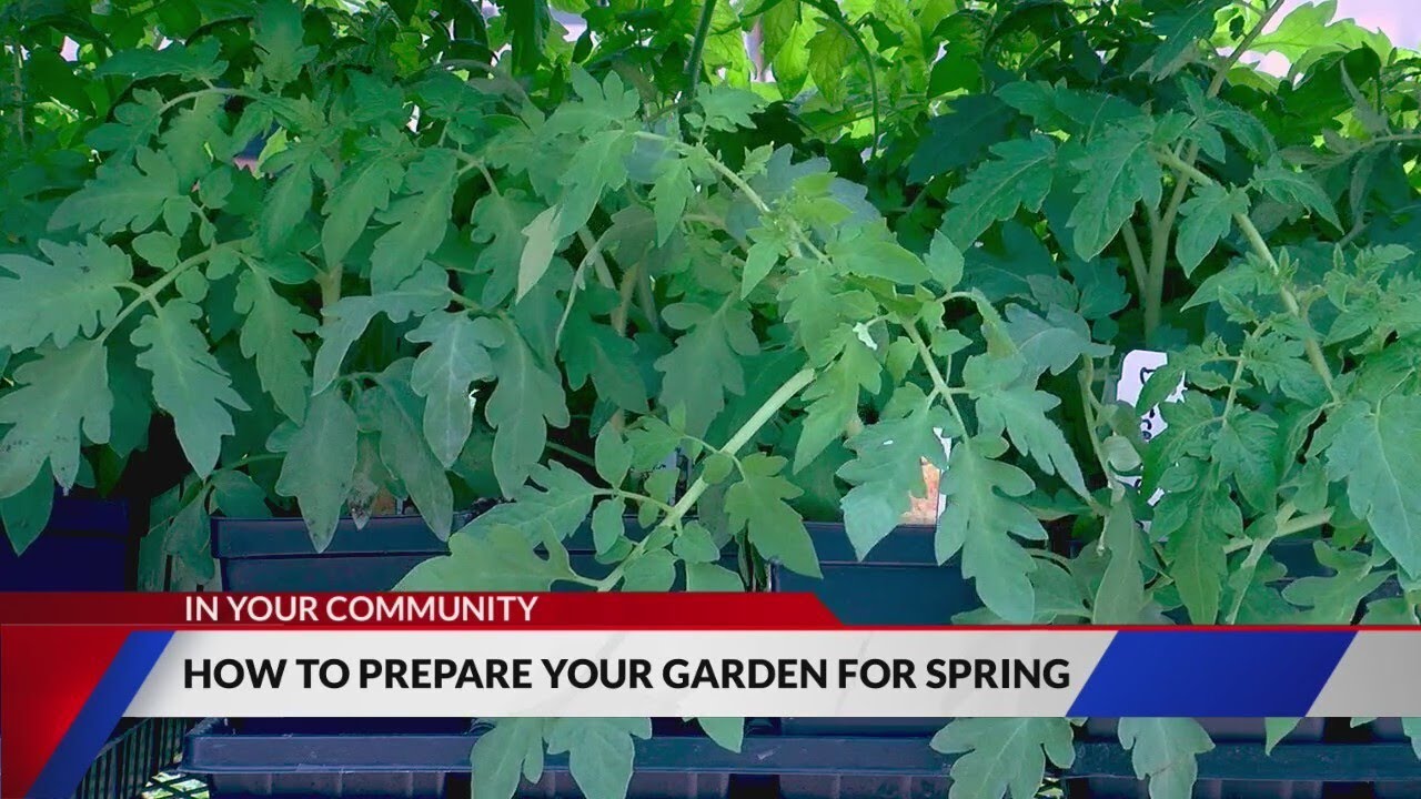 Preparing for spring gardening