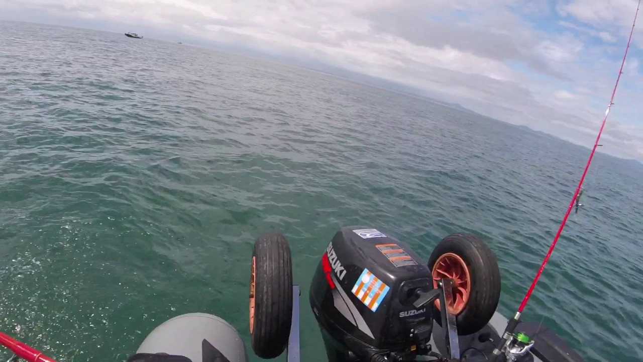 Sea Fishing - Christening my Tenryu SP73M with a nice Bass