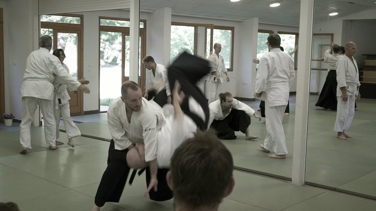 Aikido: Stephane Goffin Balaton 2016
