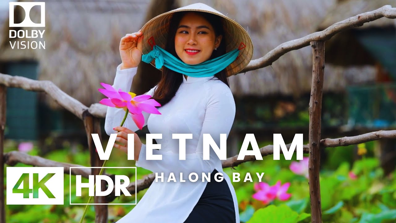 vietnam | halong bay  | 4k DOLBY VISION (60FPS)  Amazing Places documentary
