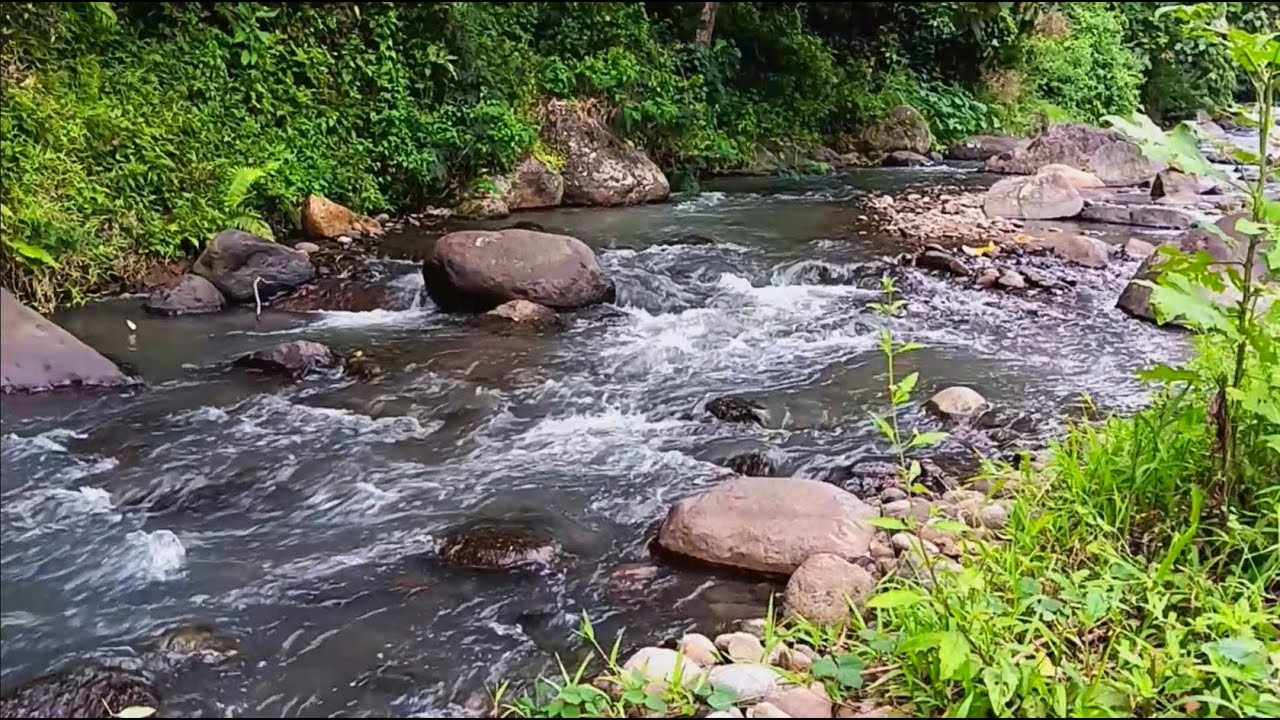 Powerful River Flow Rushing Over Dark Stones with Strong Water Sounds for Energy and Deep Focus