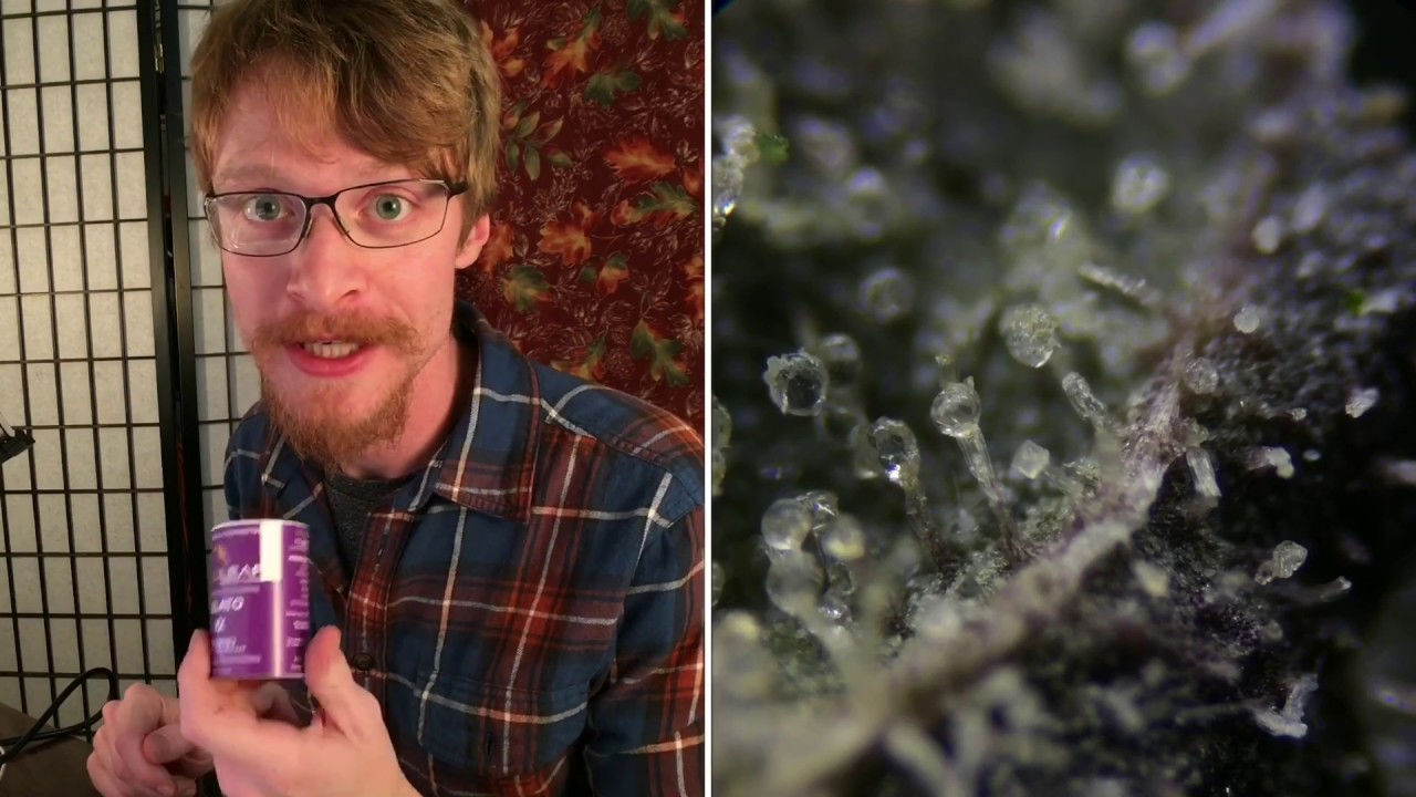 HighIQ S01E01 PART 1 Medical Cannabis Under High Power Microscope in 1080HD