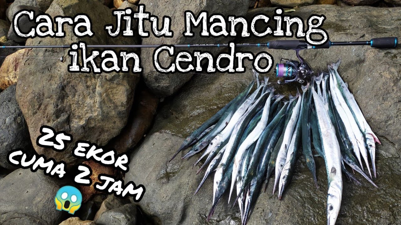 Cara Jitu Mancing Ikan Cendro/ Panjo|| Mancing di teluk Pantai Prigi Luar Biasa...