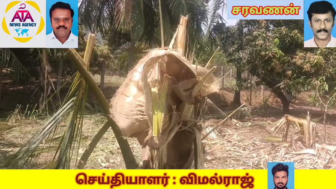 ATA NEWS-நிலத்திற்குள் புகுந்து விவசாய நிலத்தில் வேலிகளை உடைத்து,தென்னை,பயிர்களை சேதப்படுத்திய யானை