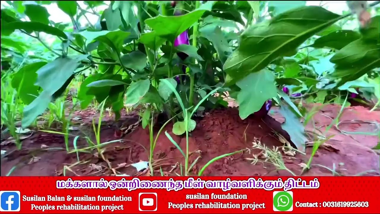 Susilan foundation | rehabilitation project |netherland | help