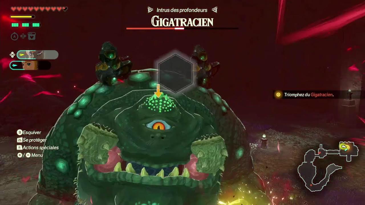 Je joue au nouveau zelda (Hyrule Warriors: Les chroniques du sceau)