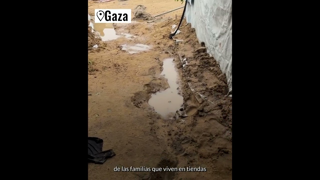 Gaza: la situación en los refugios inundados es insoportable