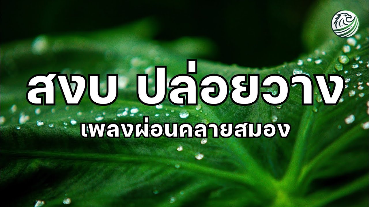 สงบ ปล่อยวางลึก ปล่อยให้ใจได้พักเหนื่อยจากทุกสิ่งที่กดดันตอนนี้ เพลงผ่อนคลายสมอง เพลงบำบัดจิตใจ
