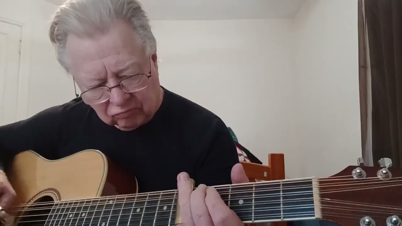 Pro-12string by Sam Havens 