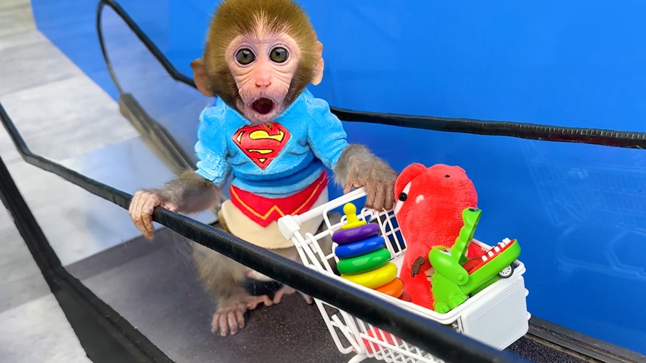 Bebé Mono Reparte Folletos y Busca un Tesoro Bajo Tierra - MONO BONBON ESP