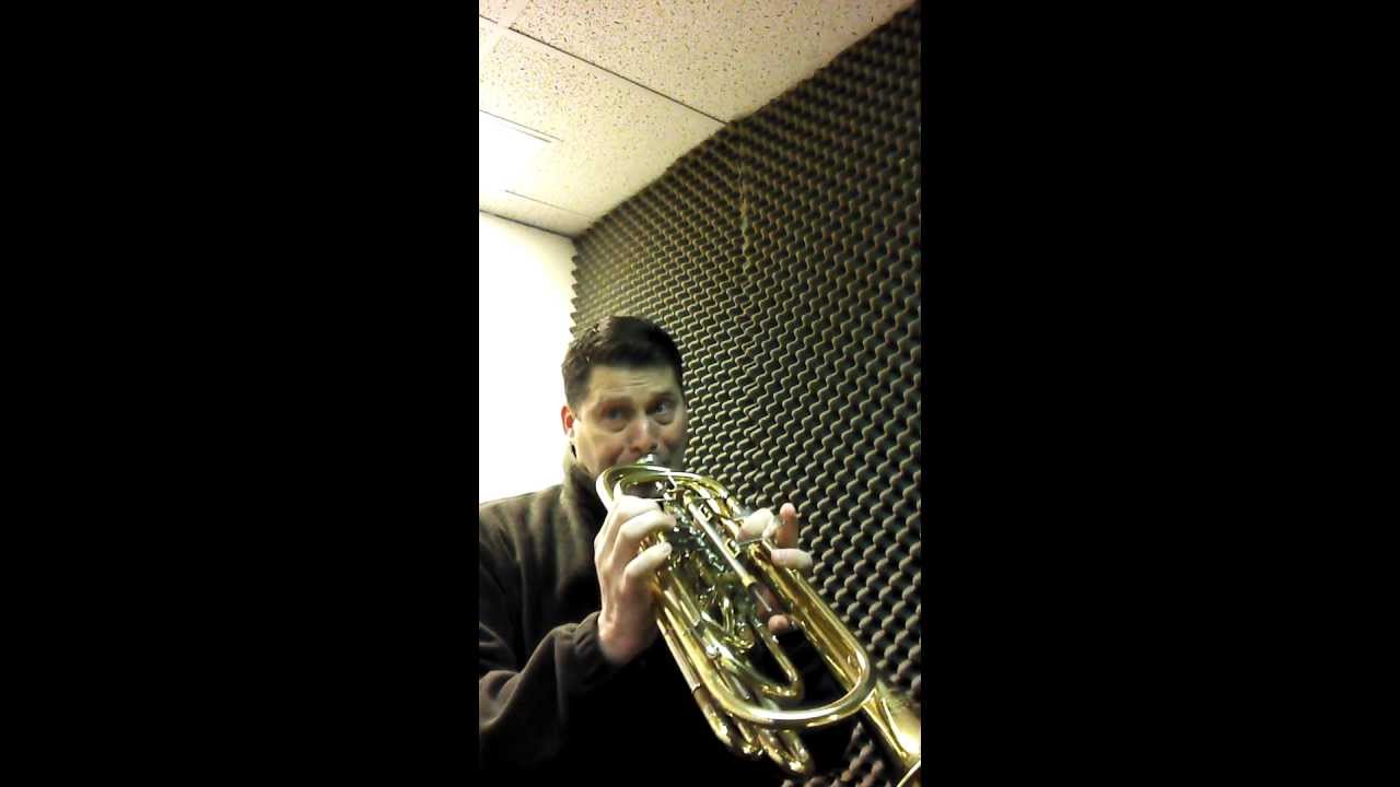 Entrance of the Gods into Valhalla on bass trumpet