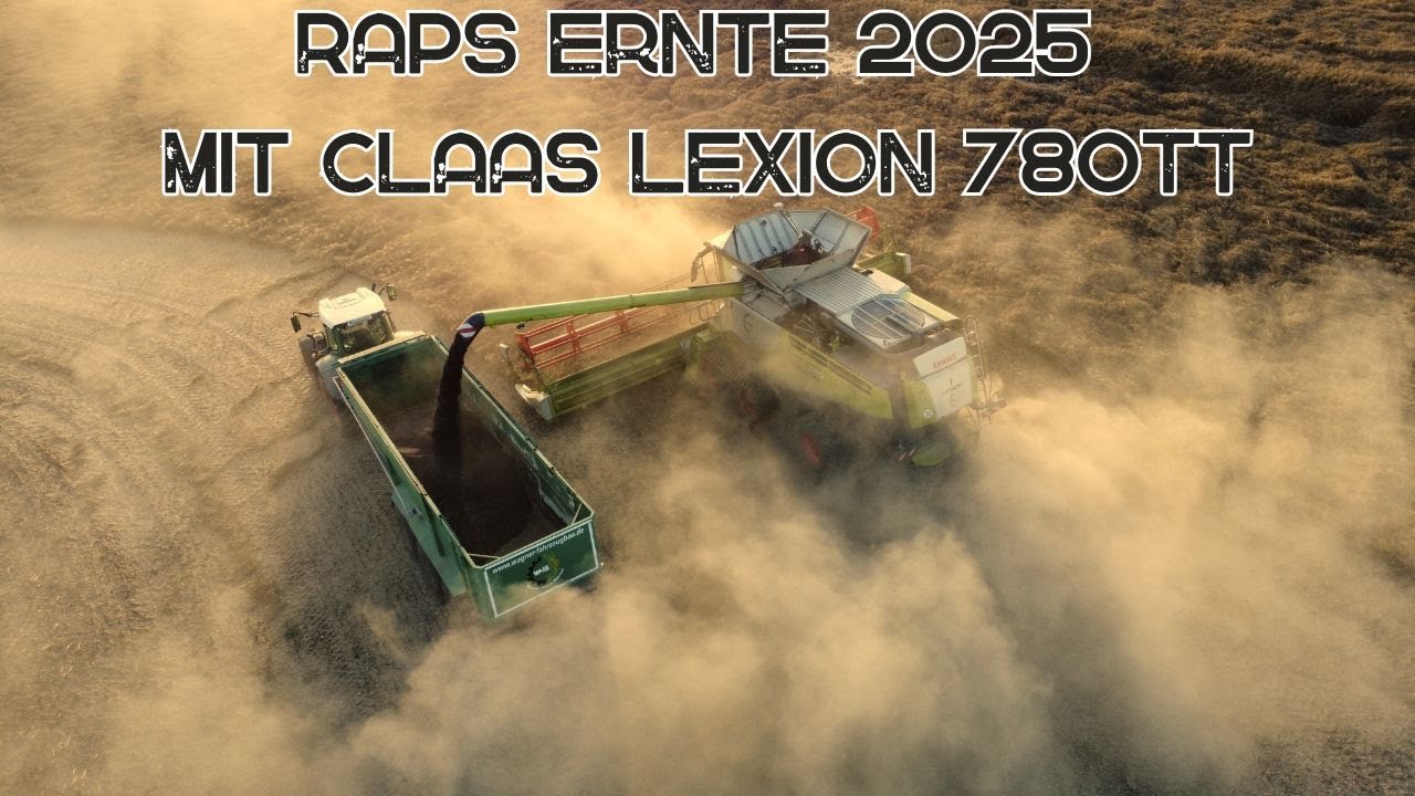 Raps Ernte 2025 mit einem Claas Lexion 780TT auf 50 ha 1/2