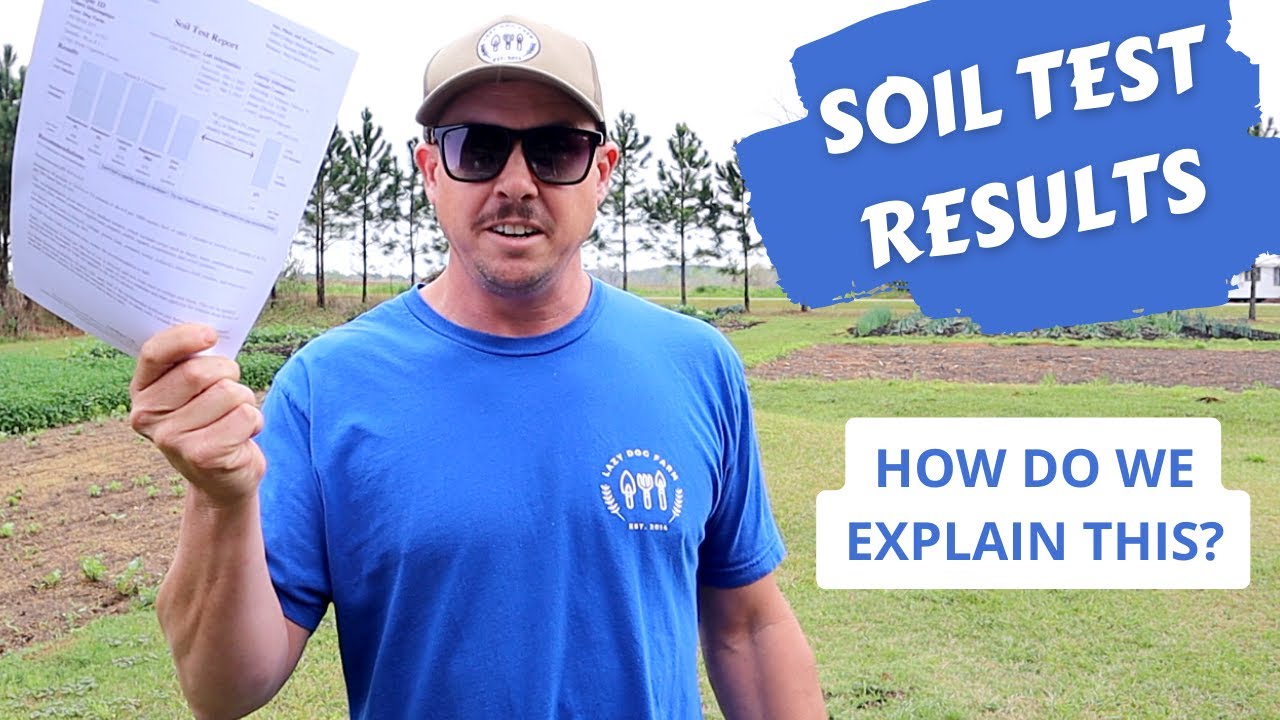 THE RESULTS ARE IN! | Backyard Garden Soil Comparison