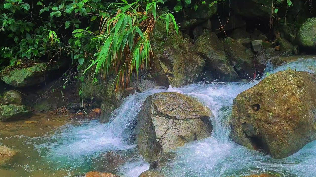 Moonlit Water Flow – Calming River Ambience to Help You Drift Into Deep Sleep