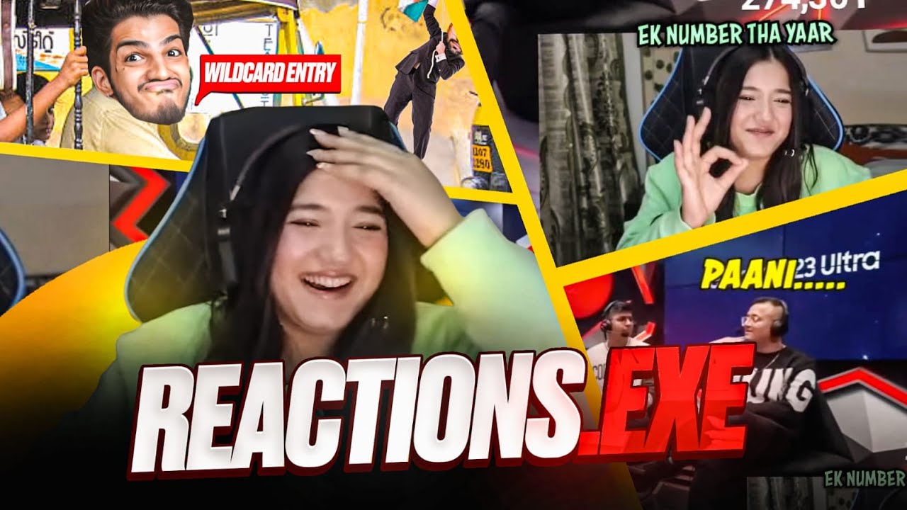 Reaction.exe (Dobby hilarious reaction to my video)
