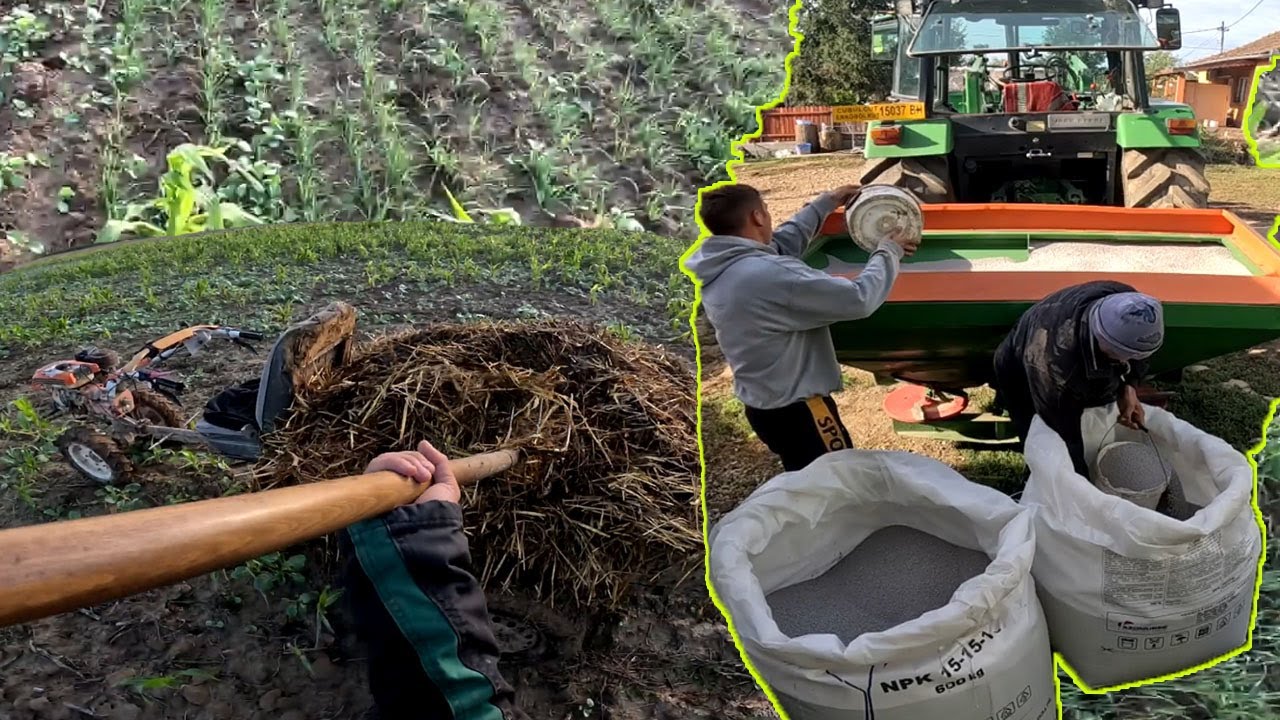 REGGELI HAJTÁS / HOZOTT CSABI BASILIO VETŐMAGOT!