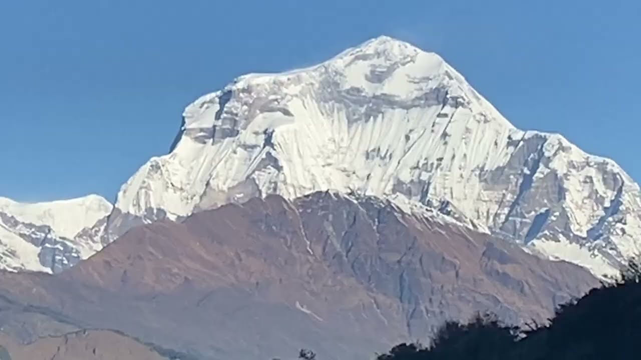 Swota ko Basai in 2025