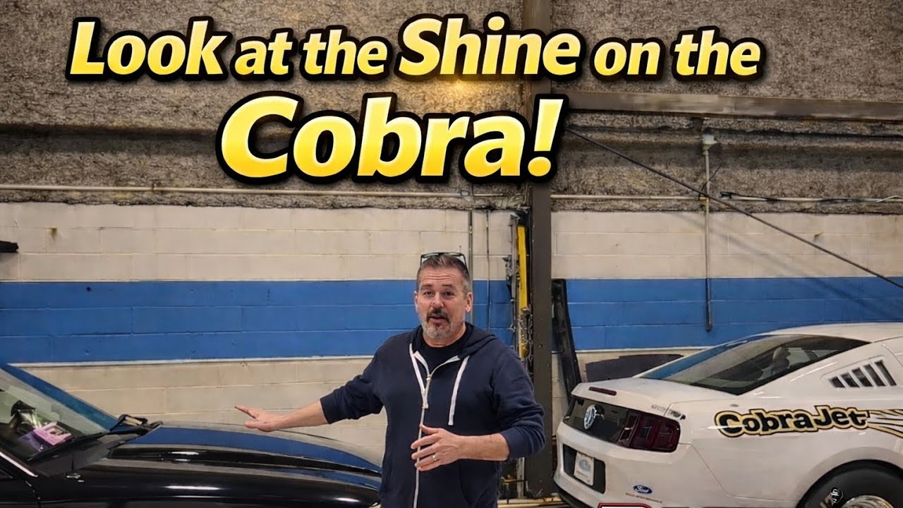 Cobra getting Beautified!!!! 