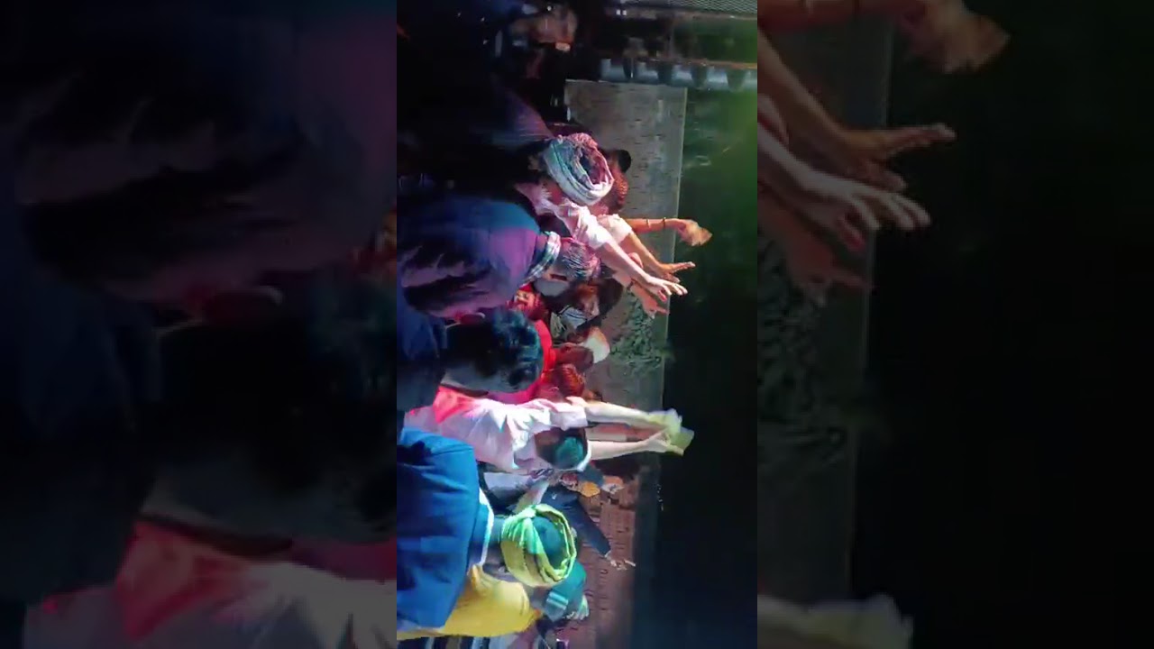 देशी झटका 