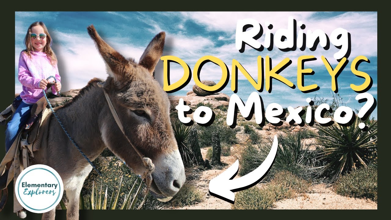 Пересечение Рио-Гранде — Бокильяс, Мексика — Поездка на осле — Национальный парк Биг-Бенд, Техас